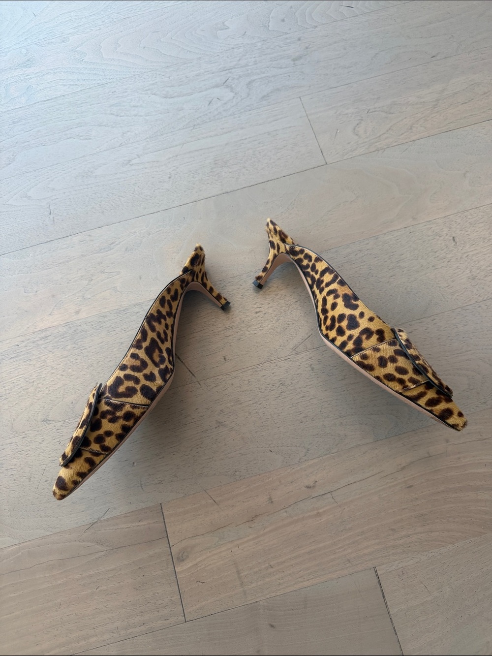 Gianvito Rossi Leopard-Print Pointed Toe Mules - Picture 2 of 4